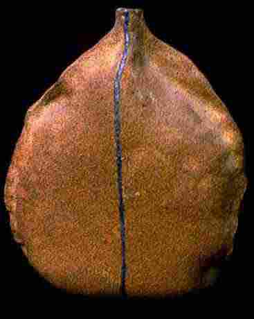 Stoneware Celadon Ginger Jar with excellent crackle.